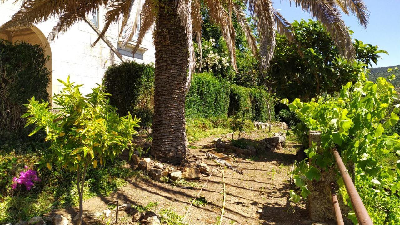 Casal Dos Zimbros Villa Corticos Eksteriør billede